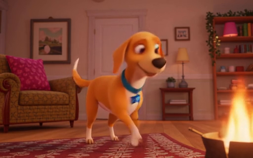 Fermi Pure T2V